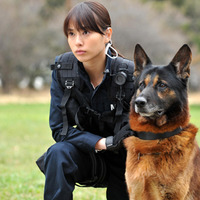 戸田恵梨香、被災地でも活躍している警備犬のハンドラー役で市原隼人と共演 画像