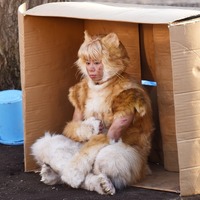 北山宏光、初の“猫”役に「すごくやりがいを感じる」 画像