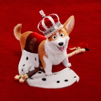 エリザベス女王の愛犬がモデル！ アニメ映画『ロイヤルコーギー レックスの大冒険』特報 画像