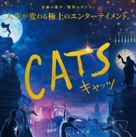 『キャッツ』猫たちの“一生に一度の特別な夜”、歌い踊る本予告 画像
