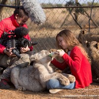 モフモフの赤ちゃんに癒やされる『ミアとホワイトライオン』特別映像 画像