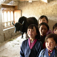 「それぞれの伝統文化を大切に」『ブータン 山の教室』監督が日本の学校とオンラインで繋がる 画像