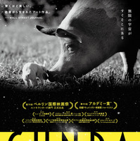 動物たちの暮らし覗く…全編音楽・ナレーション無しのモノクローム映像で構成された映画『GUNDA』予告編公開 画像