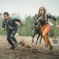 トム・ホランド＆デイジー・リドリーが愛犬と猛ダッシュ！『カオス・ウォーキング』場面写真 画像