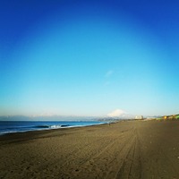 【MOVIEブログ】『陽だまりの彼女』撮影、クライマックス！ 画像