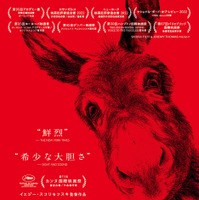 ロバが無垢な眼差しを向ける…イエジー・スコリモフスキ監督最新作『EO』日本版ポスター 画像