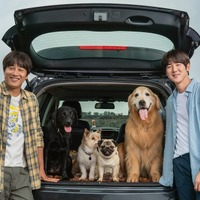 ユ・ヨンソク＆チャ・テヒョン共演、愛犬の里親探しに『マイ・ハート・パピー』1月公開 画像