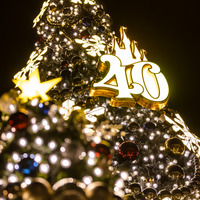 【ディズニー】4年ぶりに復活したクリスマスツリーは夜に秘密が　きらびやかな東京ディズニーシーを大満喫 画像