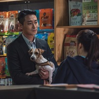 チュ・ジフン主演『ジェントルマン』犬探しが不可解な事件に繋がる予告編＆場面写真 画像