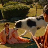 内野聖陽＆磯村勇斗＆土屋太鳳らの姿も『八犬伝』迫力溢れる場面写真 画像