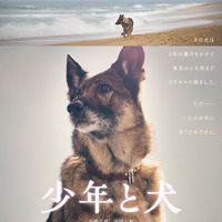 大切な人のもとへ… 高橋文哉＆西野七瀬W主演『少年と犬』特報 公開日は3月20日に 画像