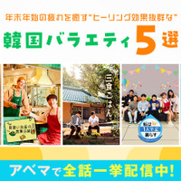「三食ごはん」「私は1人で暮らす」ほか、ヒーリング効果抜群の韓国番組5選 画像
