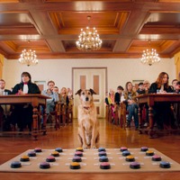 ボタンを使って“被告犬”が証言？『犬の裁判』本編映像 画像