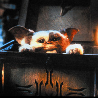 『グレムリン3』制作実現までわずか！「あとはスピルバーグ氏が脚本を読んで承認してくれれば…」 画像