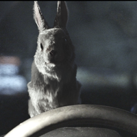 ウサギの“とんすけ”が狂獣化した「トンスケ2.0」が登場『子鹿のゾンビ』新画像 画像