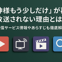 「神様もう少しだけ」が再放送されない理由とは？配信サービス情報やあらすじも徹底解説