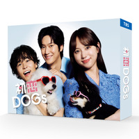 清原果耶×成田凌×ナ・イヌ共演「初恋DOGs」Blu-ray&DVD-BOXが2026年2月27日発売 画像