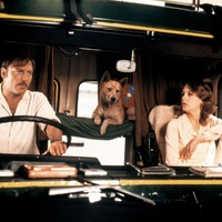 45年を経て日本初公開 リチャード・フランクリン監督作『ロードゲーム』10月31日より公開 画像