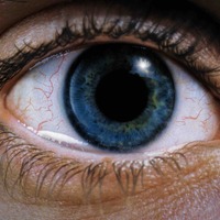 「心が砕ける」「落ち込む映画」第1位、トラウマ級の傑作『レクイエム・フォー・ドリーム』4Kリマスター版公開 画像