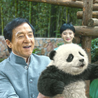 ジャッキー・チェンがパンダを愛でる…中国で予想外のヒット『パンダプラン』場面写真 画像