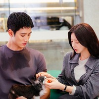 “リアル方言で演技” アン・ボヒョンに好評！『スプリング・フィーバー』の真っ直ぐなヒーローが刺さる！