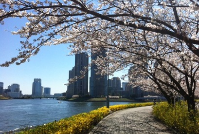 【MOVIEブログ】つれづれ日記 画像