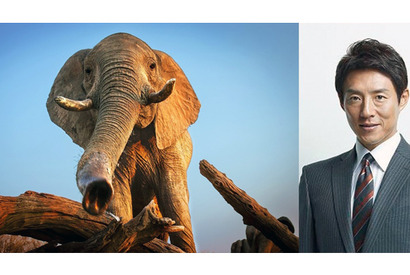 日本一“熱い男”松岡修造が叫ぶ「地球、ありがとう」…映画『ネイチャー』 画像