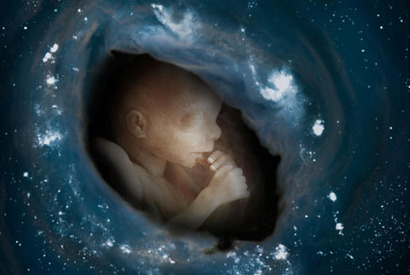 2006年を占う映画 vol.2　エコロジー系のおしゃれさんに『グレート・ビギン』 画像