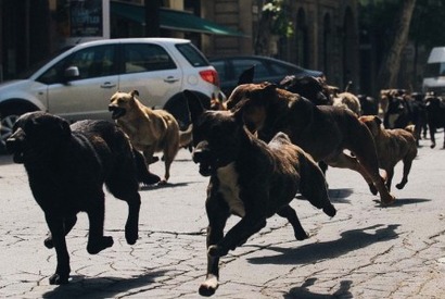 【MOVIEブログ】2014カンヌ映画祭 Day4&5 画像