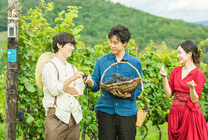 北海道を味わい尽くす！ 大泉洋がワイナリーで新境地『ぶどうのなみだ』 画像