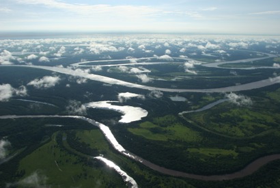 アマゾンに生態系の謎に迫る「大アマゾン展」、国立科学博物館にて開催！ 画像