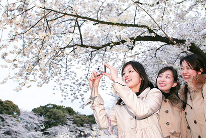 春の“女子旅”！　女子会トークに花咲く？“バス旅”意識調査に注目 画像