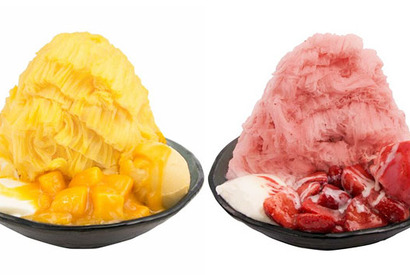 【3時のおやつ】表参道に行列出現！ 世界一のかき氷と称される台湾発「ICE MONSTER」上陸 画像