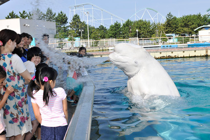 水かけイベントから花火、BBQまで！ 八景島シーパラダイスで夏休みイベント開催 画像