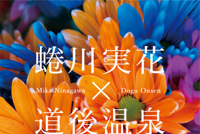 蜷川実花×道後温泉でアートの祭典開催！　「道後アート2015」 画像