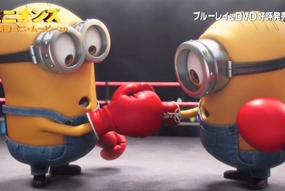 【特別映像】『ミニオンズ』、ライバルのボクシング対決の行方は!? 画像