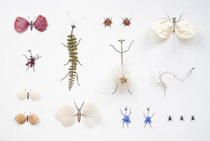 自然の息吹に耳を澄ます…現代アーティスト井上織衣の個展開催 画像