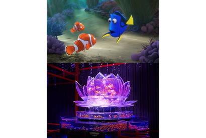 ドリー＆ニモが「アートアクアリウム」に！『ファインディング・ドリー』特別展示が決定 画像