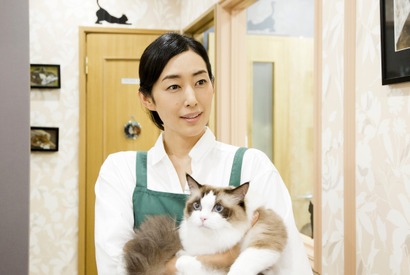 田口トモロヲ＆木村多江＆大久保佳代子、アプリ実写化映画『ねこあつめの家』に出演！ 画像