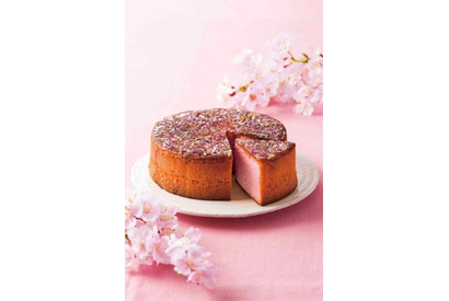 【3時のおやつ】春を感じる「WA・BI・SA」の“焦がしざらめ カステラ さくら“登場 画像