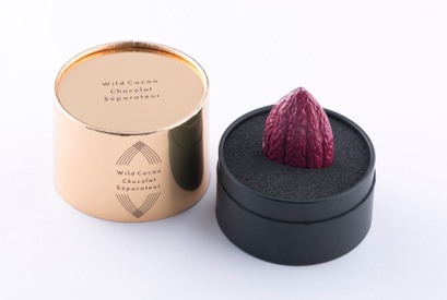 ボンボン・ショコラをより深く味わう方法！ 辻口シェフ考案ショコラ用カッティングツール発売 画像