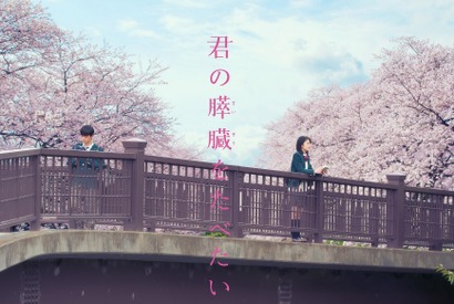 浜辺美波×北村匠海W主演作『君の膵臓をたべたい』本編映像初解禁！ 画像