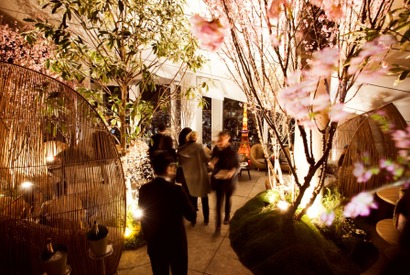 アンダーズ 東京「ルーフトップ バー」で夜景とお酒＆美食が楽しめる「さくら ガーデン」開催 画像