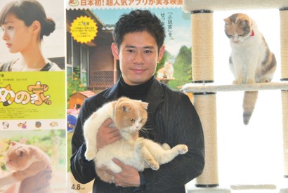 「実は犬を飼ってる」伊藤淳史、猫カフェで猫にメロメロ！ 画像