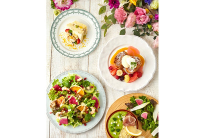 春サラダやミモザショートケーキが「アフタヌーンティー・ティールーム」から新発売！ 画像