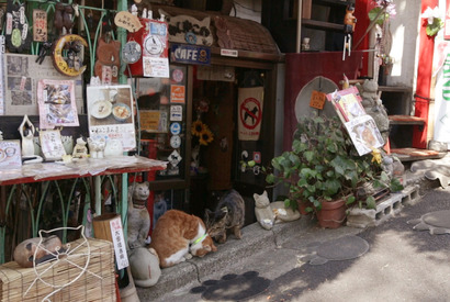 レトロで不思議なネコ屋敷・谷中「ねんねこ家」で、 気まぐれネコと戯れる 画像