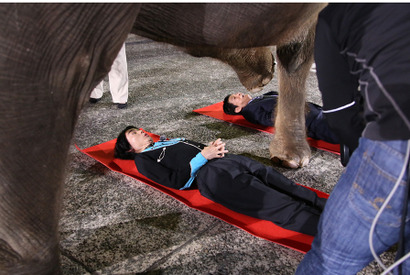 菅田将暉、さんまと巨大象に踏まれる!? 転職トーク「さんまの転職DE天職6」 画像