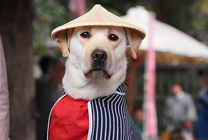 日本代表にもご利益？　きな子、劇中コスプレ写真＆日本代表バージョンも到着！ 画像