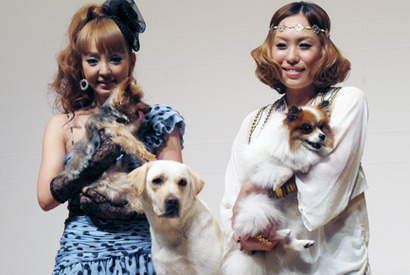 うの　愛犬と夫と過ごす時間比率は「半分半分」  画像