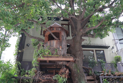 まるでおとぎ話の世界!? 隠れ家ツリーハウスカフェ 画像